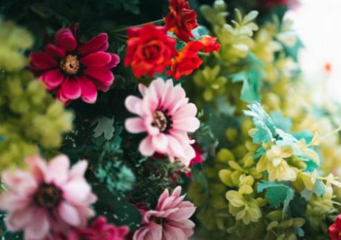 Faça você mesmo: Buquês de Rosas Vermelhas Híbridas de Chá: Eleve seu lar com elegantes arranjos florais