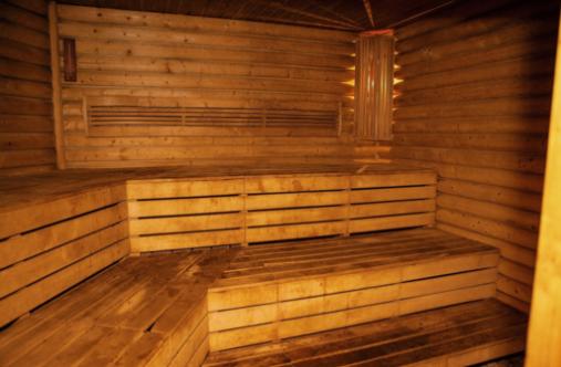 Por que cada casa precisa de uma sauna interna: Um projeto faça você mesmo